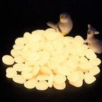 1100Pcs Glow Stones Glow in The Dark Garden Stones Pebbles, Gardening Luminous Stones Outdoor Decor Glowing Water Fish Tank Gravel (Orange) by HIMISTORE