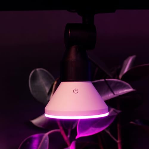 LIFX Smart Flood Light Bulb PAR38 E26 (1 Pack), Color Changing RGB + Warm White 1600 Lumens 150W Equivalent Tunable LED, 90+ CRI, Matter Compatible, Apple HomeKit, Alexa & Google Home Dimmable - Image 5