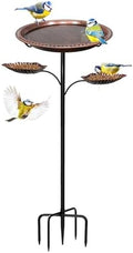 Bird Bath for Outside,2-in-1 Detachable Bird Feeder,Antique Bronze by Unknown