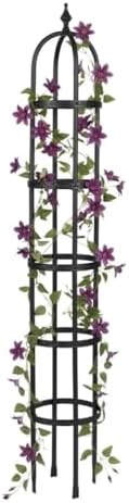 Evergreen 5 ft Garden Trellis for Climbing Plants Vines, Jasmine & Flowers, Rustproof Metal Obelisk Trellises, Outdoor & Indoor Plant Support for Potted Planters (Black) by EvergreenGarden