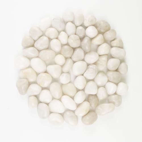 River Rocks - Natural Polished White Pebbles, 0.5-1 inch, 40 lbs - Perfect for Indoor Planting, Vase Filling, Aquarium Decoration, and Garden Landscaping (White, Weight: 40 LB) by LOOIOOJ