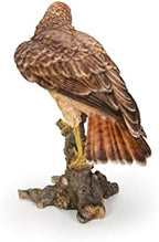 HI-LINE Wild Hawk Standing on Branch Garden Statue - Image 6