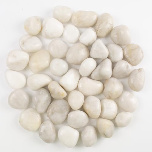 40lbs White River Rocks - 1-2Inch Natural White Rocks for Potted Plants, Decorative Rocks for Landscaping, and River Rocks for Aquariums (Weight : 40 LB, White) by LOOIOOJ