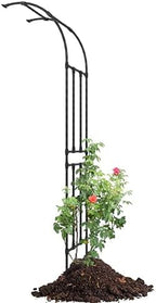 Half Arch Trellis - Garden Arch Trellis Size: 24in(L)*94.5in(H) by BUKLIYNHorticulturalProducts