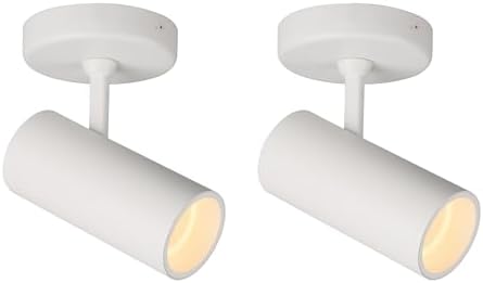 Aisilan 2 Pack 9W LED Modern Directional Dimmable Spot Light Indoor, Adjustable Angle Wired Ceiling Spotlight Lamp for Living Room, Painting, Artwork Accent Lighting - Warm Light 3000K, CRI 97 by AisilanLighting