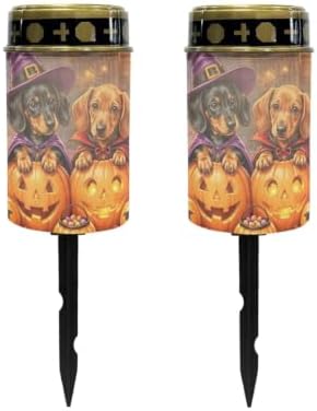 Poceacles Halloween Decor Solar Lights Outdoor Solar Powered Cemetery Stake Lights Grave Lamp Landscape Lighting Waterproof Grave Flameless Candles, Dachshund Dog Pumpkin, Pack of 2 by Poceacles
