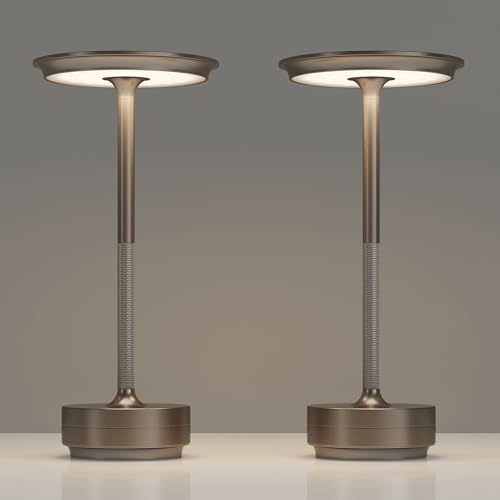 TBBGA 2 Pack Rechargeable Table Lamps Cordless, 5000mAh Outdoor Table Light by TBBGALEDCordlessTableLamps