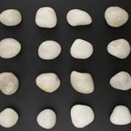 20lbs River Rocks - 1-2Inch Decorative Rocks for Potted Plants, River Rocks for Aquariums, and White Rocks for Landscaping (Weight : 20 LB, White) - Image 3