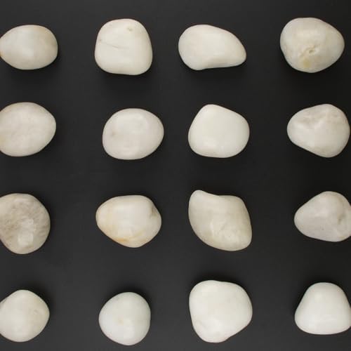 40lbs White River Rocks - 1-2Inch Natural White Rocks for Potted Plants, Decorative Rocks for Landscaping, and River Rocks for Aquariums (Weight : 40 LB, White) - Image 3