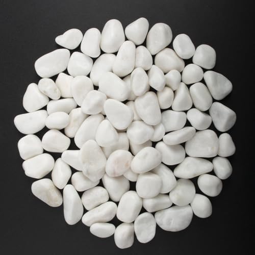40 lbs White Polished Landscape Stones, 0.5-1 Inch Decorative Rocks for Gardens, Pathways, Pots, Vase Fillers, Aquarium Decoration, Glass Containers, and Yard Borde (Pure White, Weight: 40 LB) - Image 3
