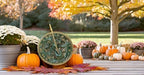 NauticalMart Flowers Sundial, Solid Brass with Verdigris Highlights, 10-Inch Diameter - Image 3