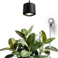 Barrina TR40 Hanging Grow Lights for Indoor Plant, 40W 4000K Full Spectrum by Barrina