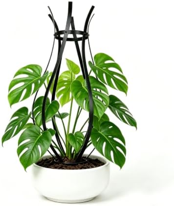 Trellis for Climbing Plants Outdoor, 32" H Obelisk Garden Decor - Image 2
