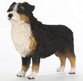 Conversation Concepts Australian Shepherd by ConversationConcepts
