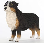 Conversation Concepts Australian Shepherd by ConversationConcepts