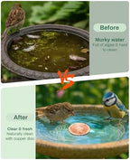 OICEME Bird Bath Purification Disk Pure Copper Outdoor Winter Solar Power Birdbath Deicer Cage Hanging Bowl Metal Warmer Deck Railing Glass Concrete Ceramic Stone Stand Water Flowers - Image 3