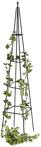 Evergreen Metal Garden Obelisk Trellis for Climbing Plants Outdoor, Indoor Plant Trellis for Potted Plants, Floral Pattern Arch Trellis (Black, 6 ft. Pyramid) by EvergreenGarden