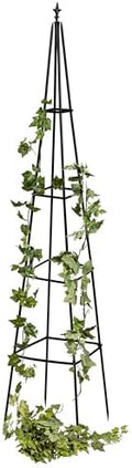 Evergreen Metal Garden Obelisk Trellis for Climbing Plants Outdoor, Indoor Plant Trellis for Potted Plants, Floral Pattern Arch Trellis (Black, 6 ft. Pyramid) by EvergreenGarden