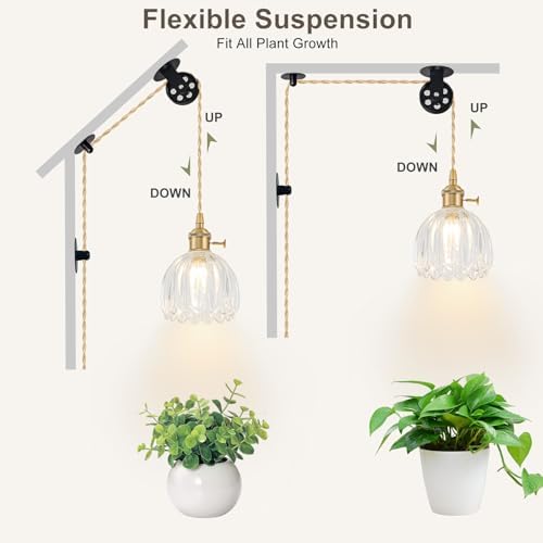 Hanging Grow Lights for Indoor Plants, 12W Full Spectrum 98+ CRI Grow Lamp, Dual CCT 3000K/4000K, Dual Switches, Pulley Height Adjustable, 13.12FT Cord, Petal Glass Plant Light for Indoor Flowers - Image 6