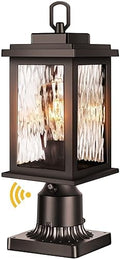 VIANIS Outdoor Post Lights Hardwired 120V, Oil Rubbed Bronze Aluminum by VIANISLIGHTING