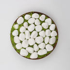 40 lbs White Polished Landscape Stones, 0.5-1 Inch Decorative Rocks for Gardens, Pathways, Pots, Vase Fillers, Aquarium Decoration, Glass Containers, and Yard Borde (Pure White, Weight: 40 LB) - Image 6