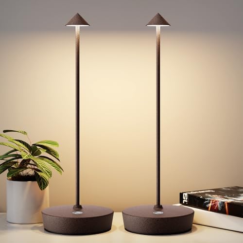 2Pack Rechargeable Cordless Table Lamp, Portable Powered LED Battery 6000mAh Metal USB Desk Lamp, 3 Levels Brightness Light for Restaurants Outdoor (2pack ferruginous) by YIBEN