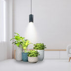 Plant Hanging Grow Light Full Spectrum Warm White Color with Timer, Plug-in Pendant Grow Lights,Large Black Luxury LED Grow Lights,Indoor Pendant lamp - Image 2