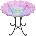 MUMTOP Outdoor Glass Bird Bath with Metal Stand for Yard Garden Decor, Pink by MUMTOP