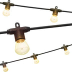 Enbrighten Bistro Outdoor String Lights, 48ft, 24 Bulbs, White Light Only by Enbrighten