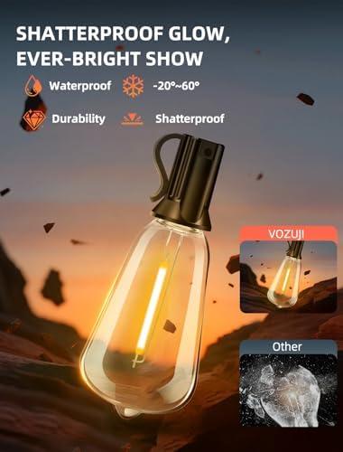 Outdoor Patio String Lights: 100Ft 30M Outside Waterproof Light - Remote Dimmable ST38 Shatterproof Bulb Connectable Hanging Outdoor Electric Lighting - Backyard Yard Gazebo Porch Party - Image 5