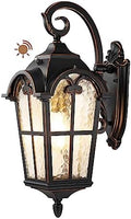 EDISHINE Dusk to Dawn Outdoor Wall Light 20.4 Inch Waterproof Black by EDISHINE