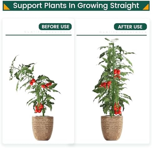 PROWORX 48 Inch 4 Ft Plant Support Garden Stakes for Outdoor Plants, 25 PCS - Image 3