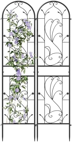 2-Pack 87" x 20" Sunflower Scroll Arch Black Metal Garden Trellises - Image 2