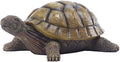 Turtle Garden Statue,Outdoor Figurine,Indoor Tortoise Sculpture Colloction by Jumiz