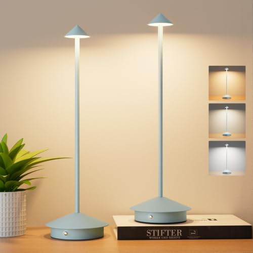 Cordless LED Table Lamps,Portable Battery Desk Lamp,2 Pack,Blue by Aoceley