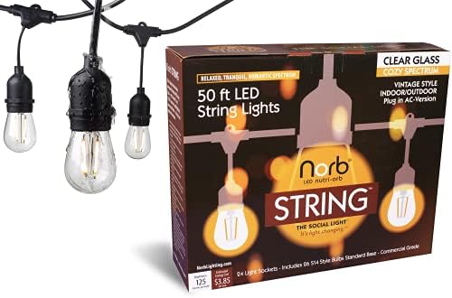 NorbSTRING 50FT LED String Lights – Plug-in Outdoor Weatherproof Lights, Cozy Candle-Like Warm White Glow, Shatterproof Commercial-Grade Bulbs for Patio, Backyard, Deck & Events, Energy-Efficient by NorbLighting
