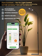 Grow Lights for Indoor Plants, Full Spectrum LED Plant Light with Stand - Image 6