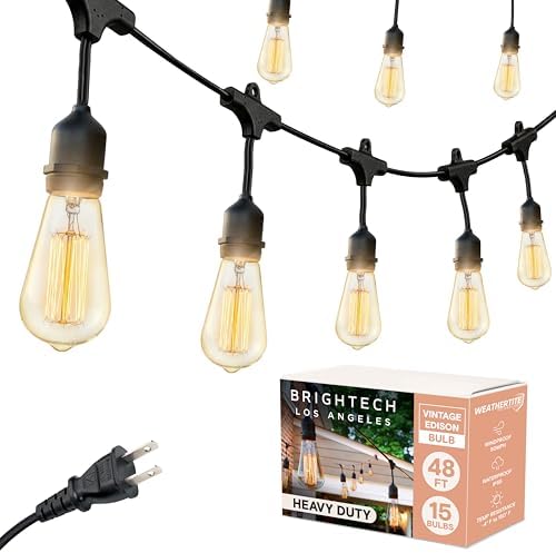 Brightech Ambience Pro Incandescent Outdoor String Lights - 48 Ft Dimmable Patio Light - 40W Commercial Waterproof Porch String Lights for Outside, Backyard - 15 Vintage Filament Bulbs, Warm White by Brightech