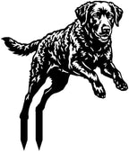 Dog Metal Garden Stake - Weatherproof Dog Silhouette Yard Art, Decorative Outdoor Sign for Lawn & Patio, Heartfelt Gift for Curly Coated Retriever Lovers(Jump,14") by VORISCAPE