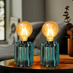 Set of 2 Battery Operated Table Lamp, Battery Powered Cordless Lamp with Timer, Glass Bulb Shape Decorative Lights for Living Room Bedroom Weddings Parties Patio Events Indoors Outdoors（Loden Frost） by MJPREMIER