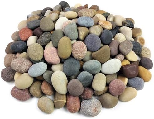 FANTIAN 10 lbs River Rocks for Aquarium, 1-2 Inch Natural Pebble for Plants by FANTIAN-GardeningMakesLifeBetter