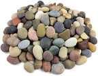 FANTIAN 40 lbs River Rocks for Landscaping,1-2 Inch Pebble Decorative Stone by FANTIAN-GardeningMakesLifeBetter