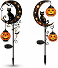 Halloween Solar LED Garden Stake Light Black Cat Jack-O-Lantern by Unknown