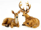 Resin Buck and Doe Statue-Animal Deer Couple Garden Accessories Collectible Figurines Sculpture Home Coffee Shop Decoration Ornaments or Outdoor Yard Lawn Decor Gifts for Birthday Anniversary - Image 5