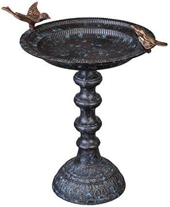 Evergreen Garden Hummingbird Bird Baths for Outdoors Heavy Duty | Metal Bird Bath Bowl with Stand | Ground Standing Bird Bath and Feeder for Garden Yard Deck by EvergreenGarden