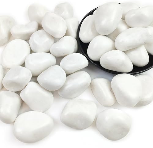 20lbs White Rocks for Landscaping,2-3 Inch Decorative Pebbles for Plants,River Rocks for Backyard,Flower Beds, Indoor Fountains, Paths, Aquarium Vase,Outdoor Garden by SHIZWU