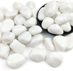 20lbs White Rocks for Landscaping,2-3 Inch Decorative Pebbles for Plants,River Rocks for Backyard,Flower Beds, Indoor Fountains, Paths, Aquarium Vase,Outdoor Garden by SHIZWU