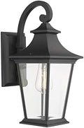 Emliviar Outdoor Wall Lantern, 1-Light Exterior Wall Mount Light with Clear Glass in Black Finish, 18" Height, 500181 by EMLIVIAR