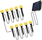 Ciieeo Xmas Solar Lawn Light Outdoor Decorative Ball Path Lamp for Yard by Ciieeo