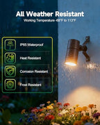 Landscape Light Tree Mount, Low Voltage Down Light 12V 1-Pack - Image 4